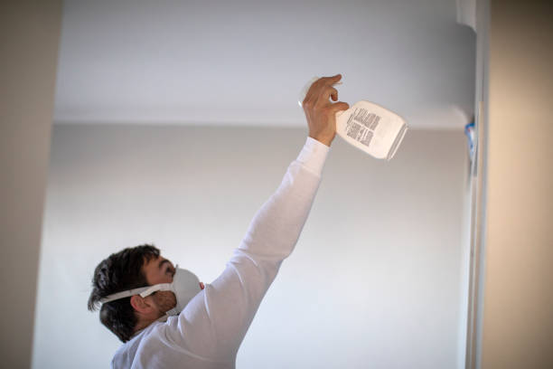 Best Office Mold Removal Services  in Lone Jack, MO