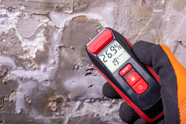 Best Toxic Mold Removal  in Lone Jack, MO