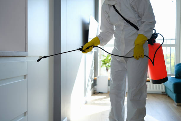 Best Professional Mold Removal  in Lone Jack, MO